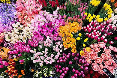 《蜡笔小新 煤炭镇的小白》发布粤语配音预告