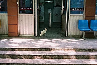 《审判之逝：湮灭的记忆》游戏情报 主线及支线人物